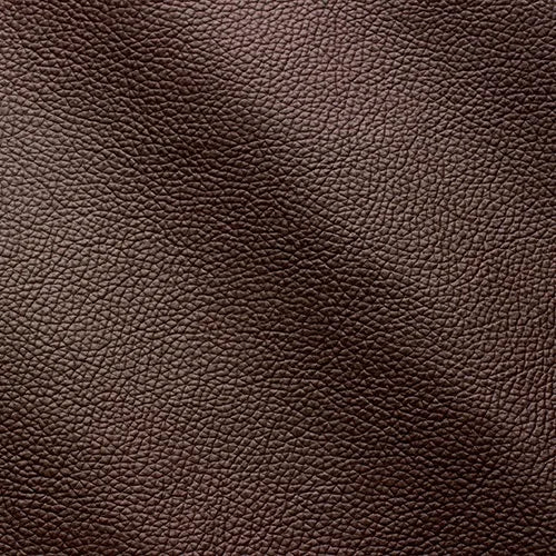 Celeste-Testa di Moro