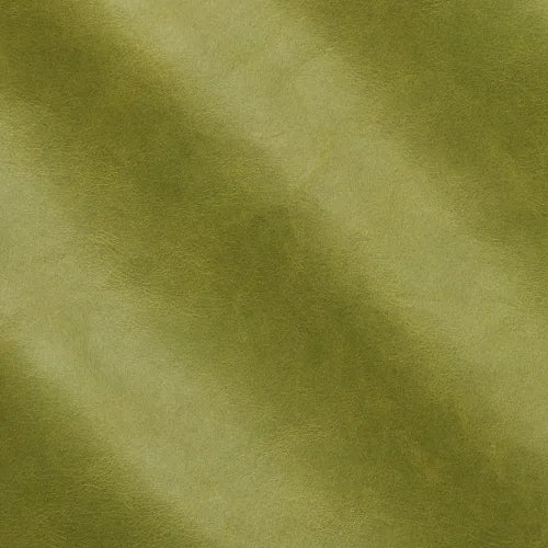 organic evergreen